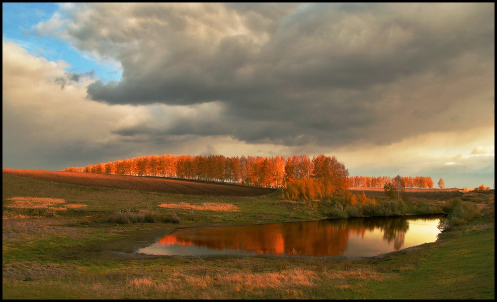 Autumn palette | autumn, palette, puddle, wood