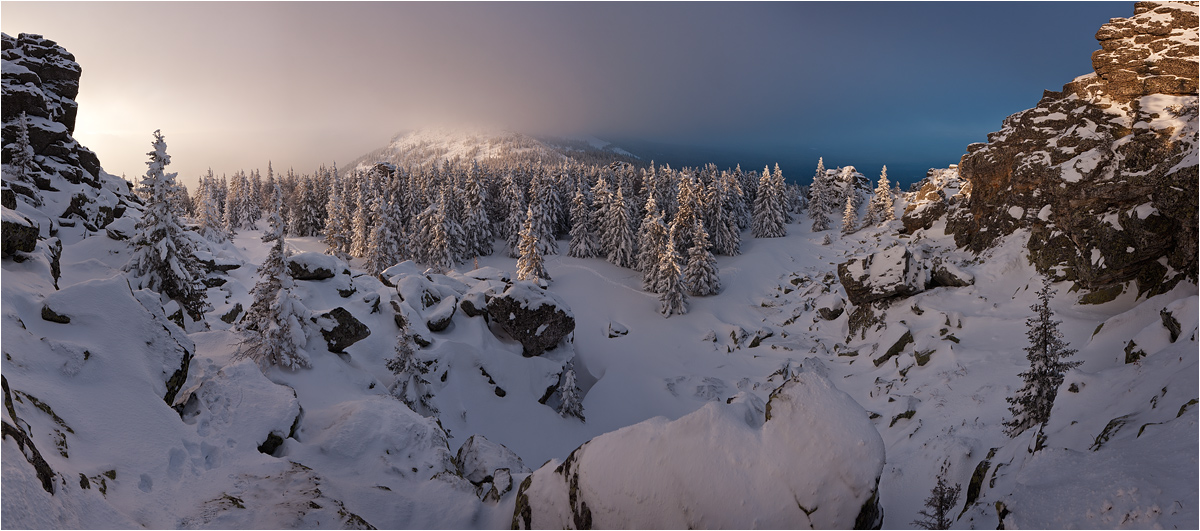 Winter firs in the mountains | winter, mountain, snow, sunshine, sky, fir, covered, height, landscape, forest