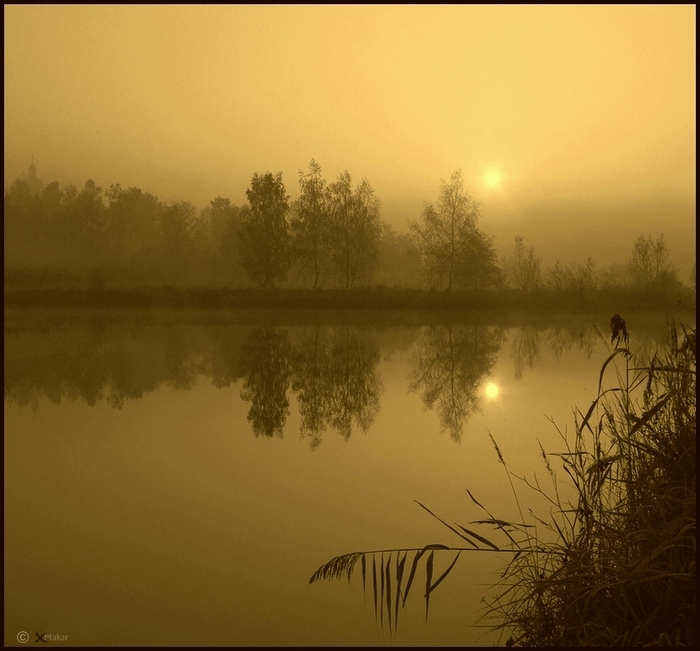 Yellow dawn | yaellow, sun, river, reflection