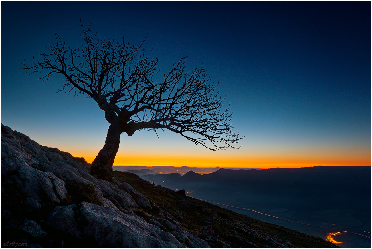 The only one | sunrise, Mountains, tree