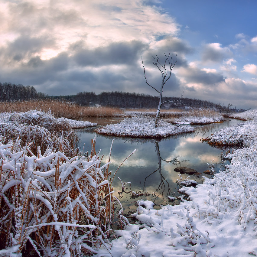 Thaw hole | thaw hole, water, grass, sky