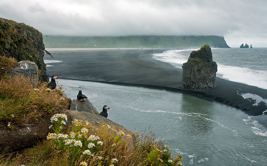 Something unusual | sea, cliff, ubrupt coast, skyline