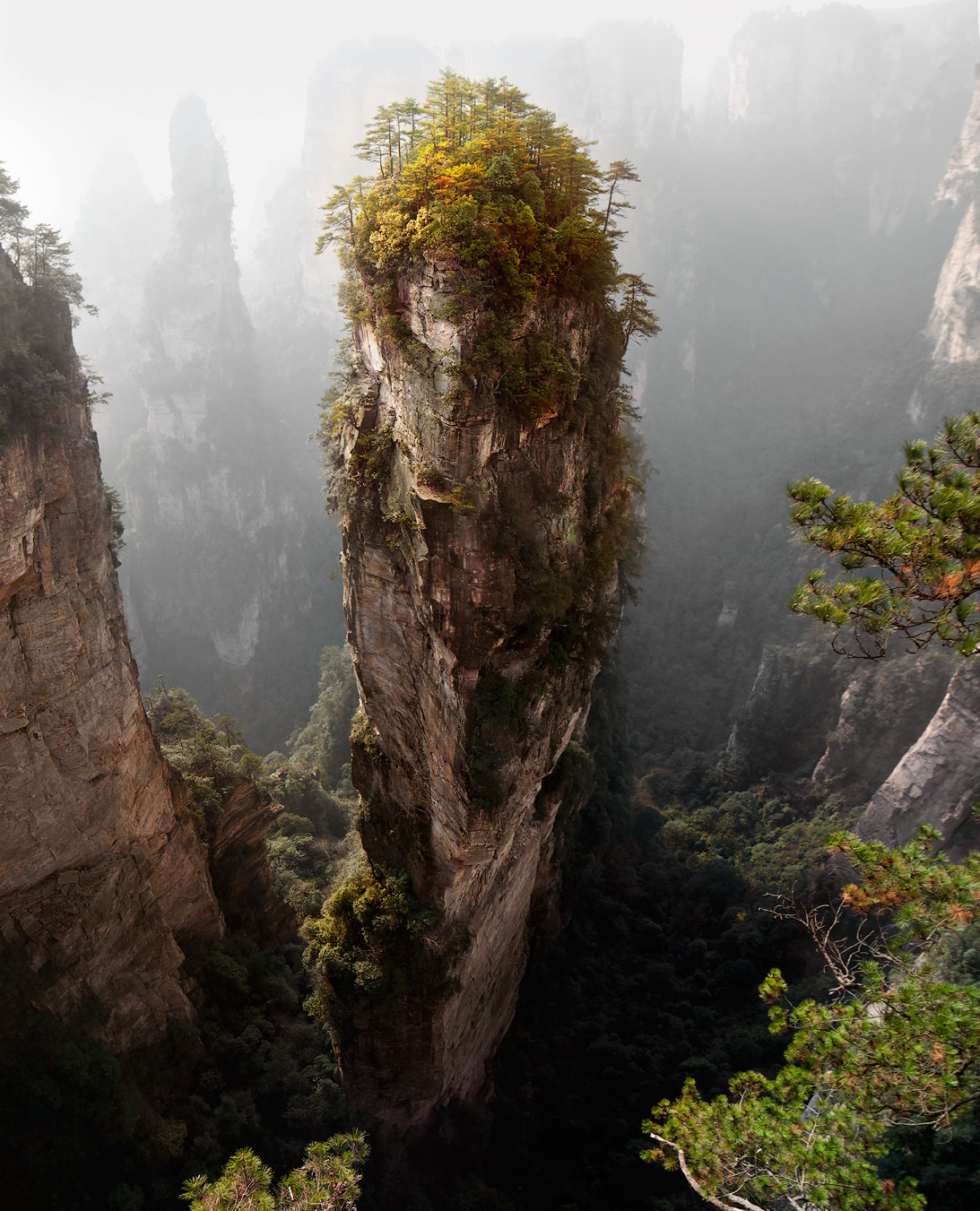 Treelike mountain | mountain, hillside, fog, mist