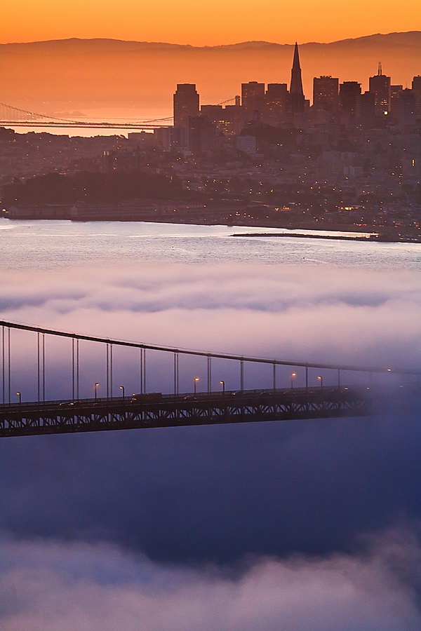 Fog and the brisge | fog, city, bridge, dawn