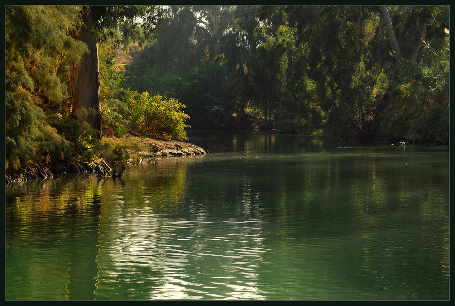 Fishing in soring | lake, forest, spring, tree