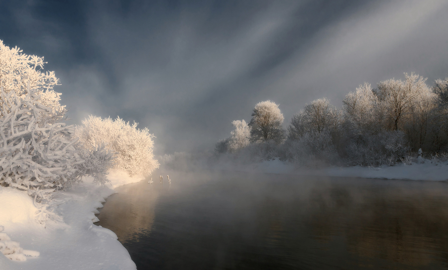 Frosty light | frost, winter, frosen water, ice