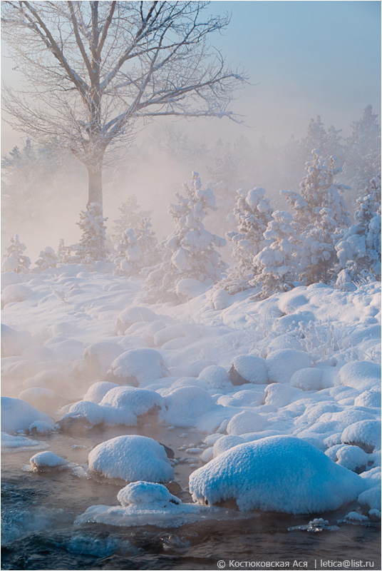 Stones covered with snow | tree, stone, snow, water