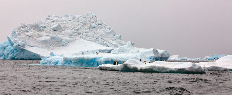 Iceberg | iceberg, ocea, grey sky, sea water
