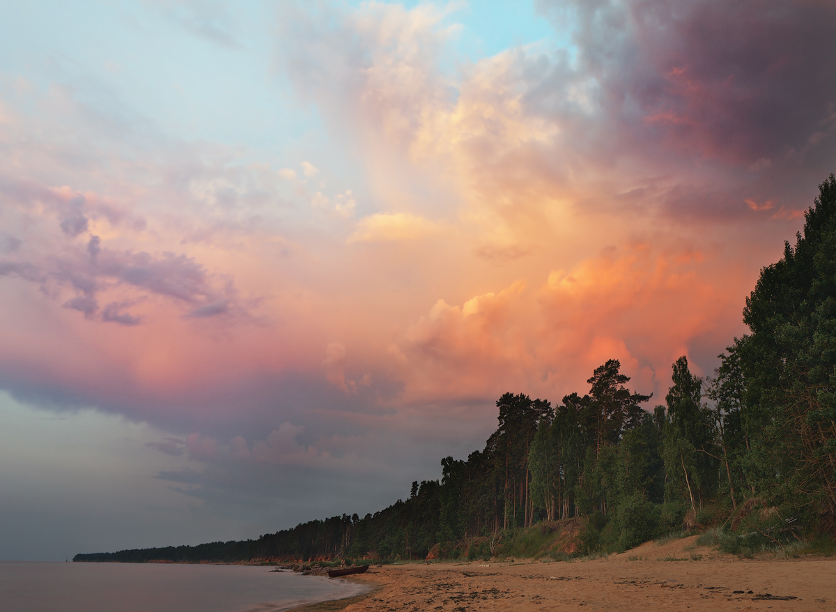 Fiery shore | shore, river, pine wood, orange sky