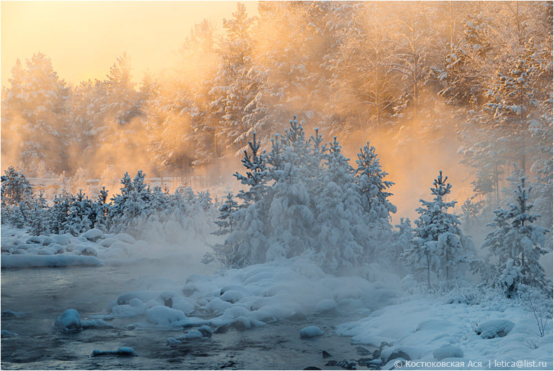 Just before winter | winter, spruce, wood, steam