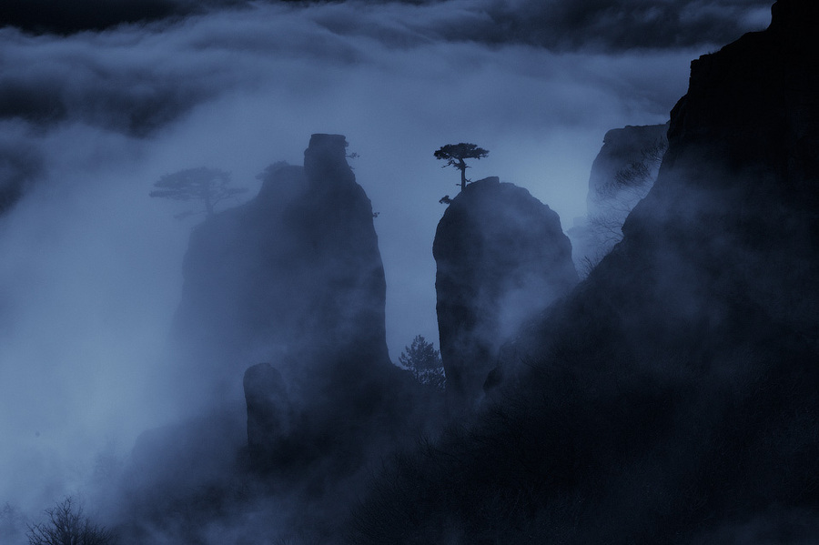 Transcendental Demerdzhi | mountains, trees, mist, stones