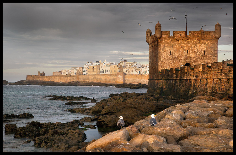 Ancient fort | fort, sea, wall, dull sky