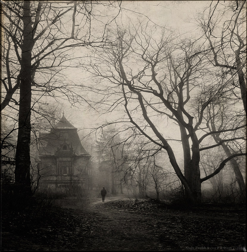 Dracula was here | hades of gray, tree, castle, dusk