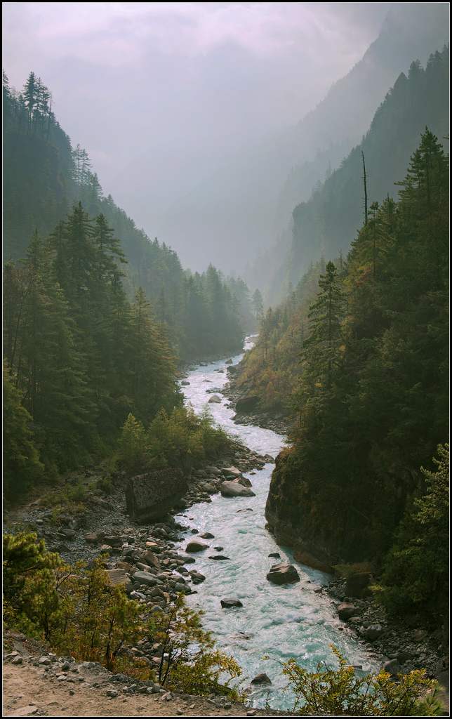 Mountain stream | stream, mountain, wood, mist