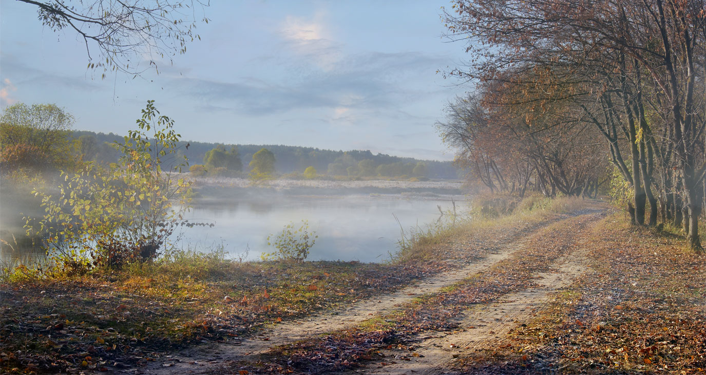 Autumn path | autumn, landscape, river, forest, leaves, trees, fog, path, day, branches