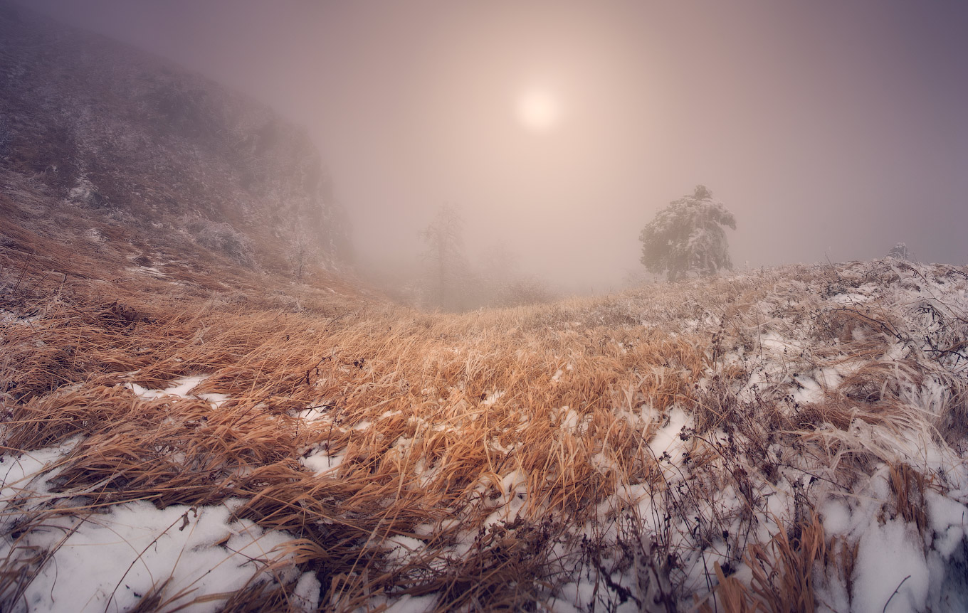The silence of Demerdgi | silence, fog, sun, grass