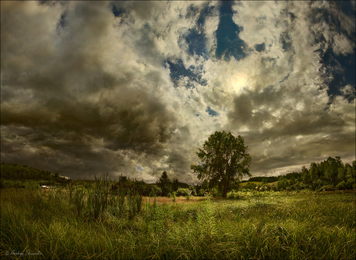 Grey day | clouds, rain, tree, meadow