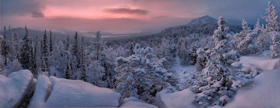 After dusk | dusk, spruce, snow, ice