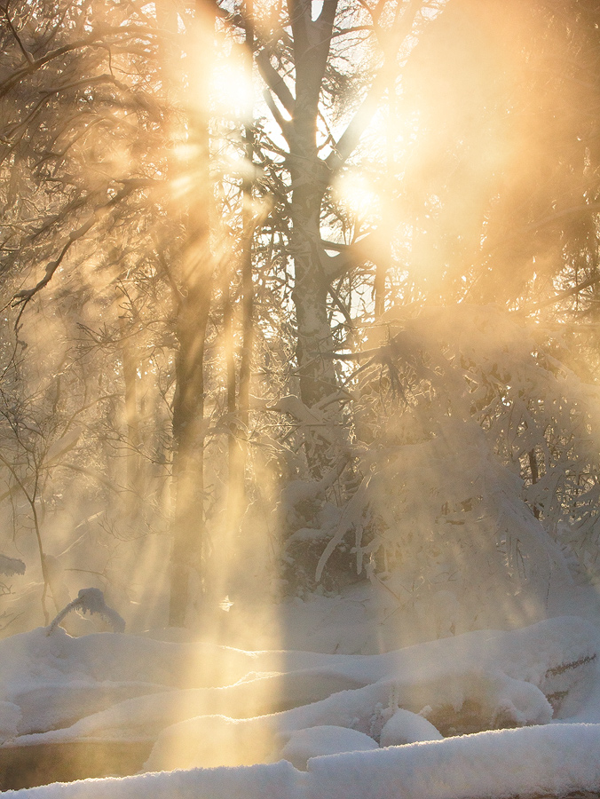 Sunshine and mist | sunshine, mist, snow, winter