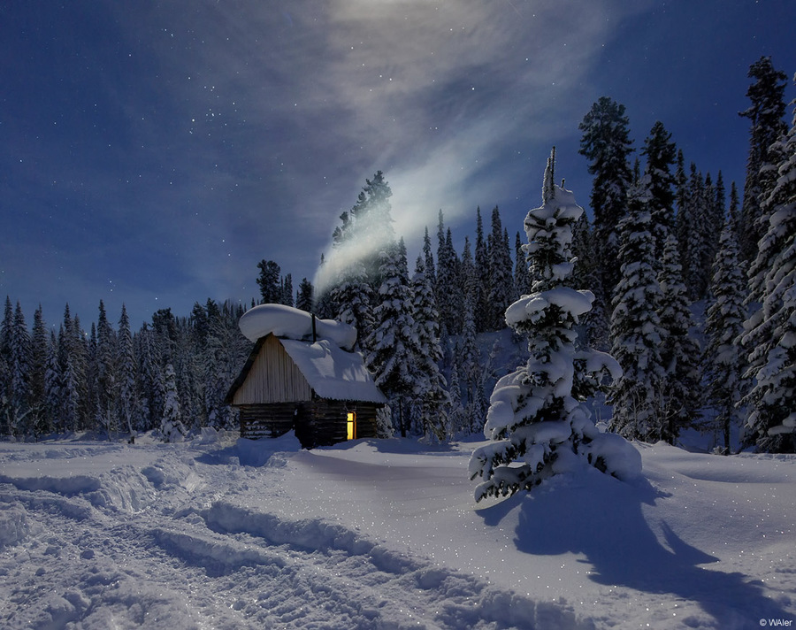 hunting seat | hunting seat, winter, snow, spruce