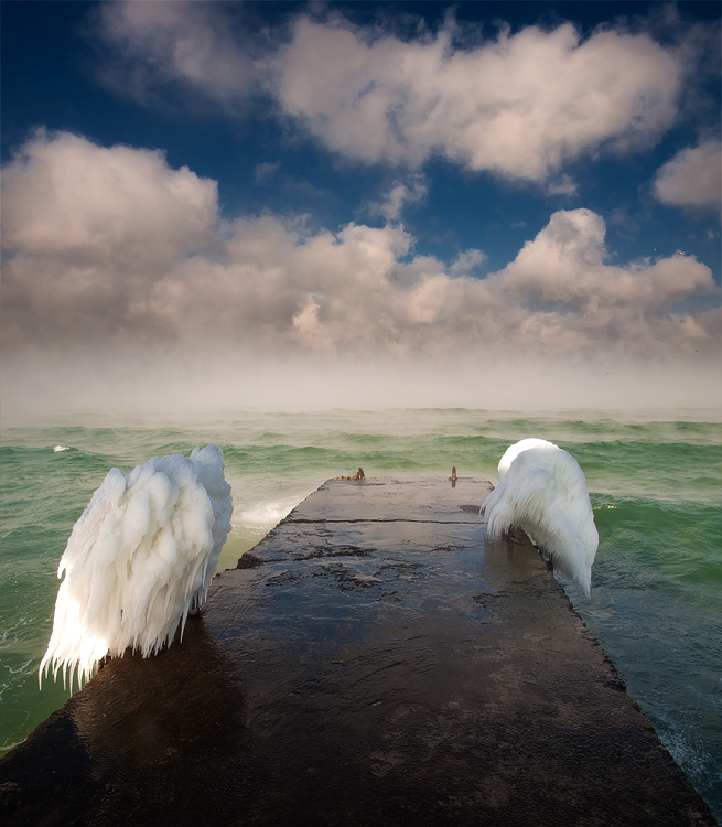 Angel wings | angel wings, ice, ocean, bridge