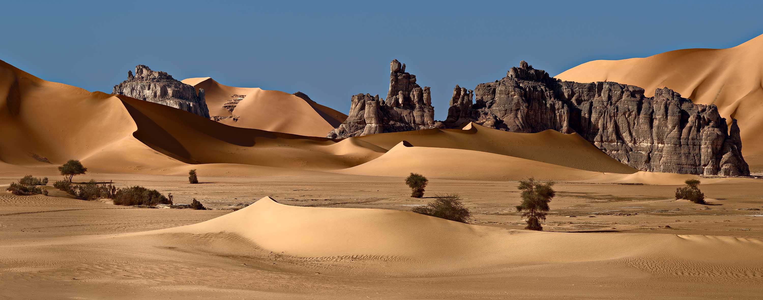 Fairy desert, Algeria | Algeria, sand, downs, desert, shades, trees, rocks, panorama, Tadrart, sky