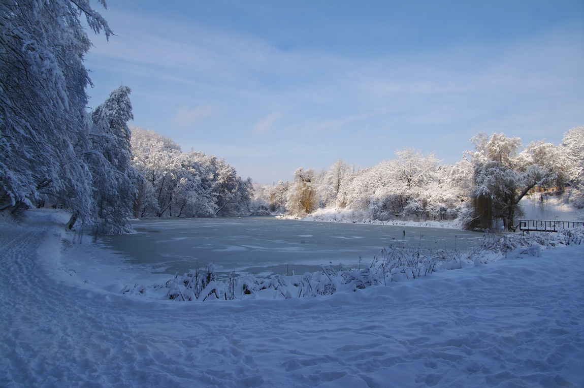 The snow of winter | winter, snow, light, frost