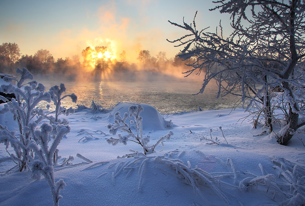 Frosty winter morning | frost, winter, morning, sun beam
