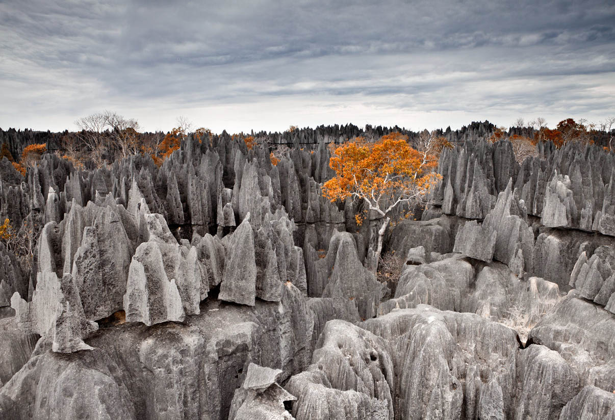 Grey cliffs | cliff, lonely, tree, sky