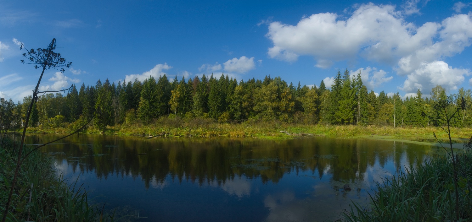 Cloudy dragon | landscape, lake, clouds, forest, dragon, september, nature, grass, sunny, coast