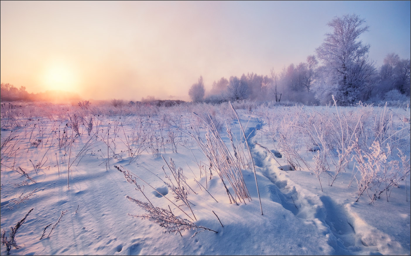 Snowy field | snow, field, forest, sun