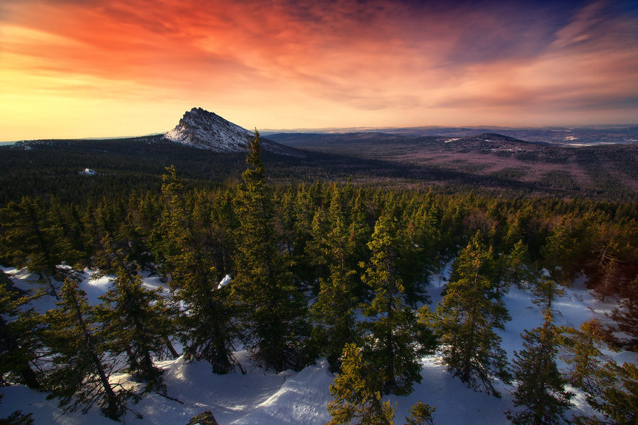 Endless sky | peak, spruce, snow, dusk