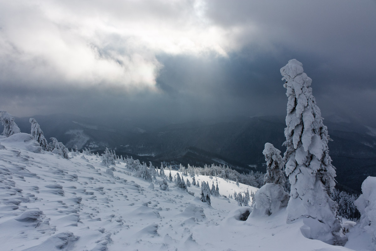 The calm before the storm | calm, storm, dull sky, frost