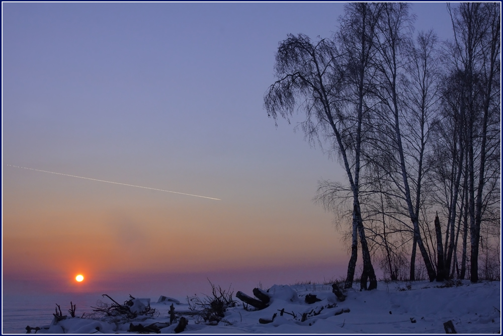 Bith pf the Sun | Sun, birch, snow, Russia