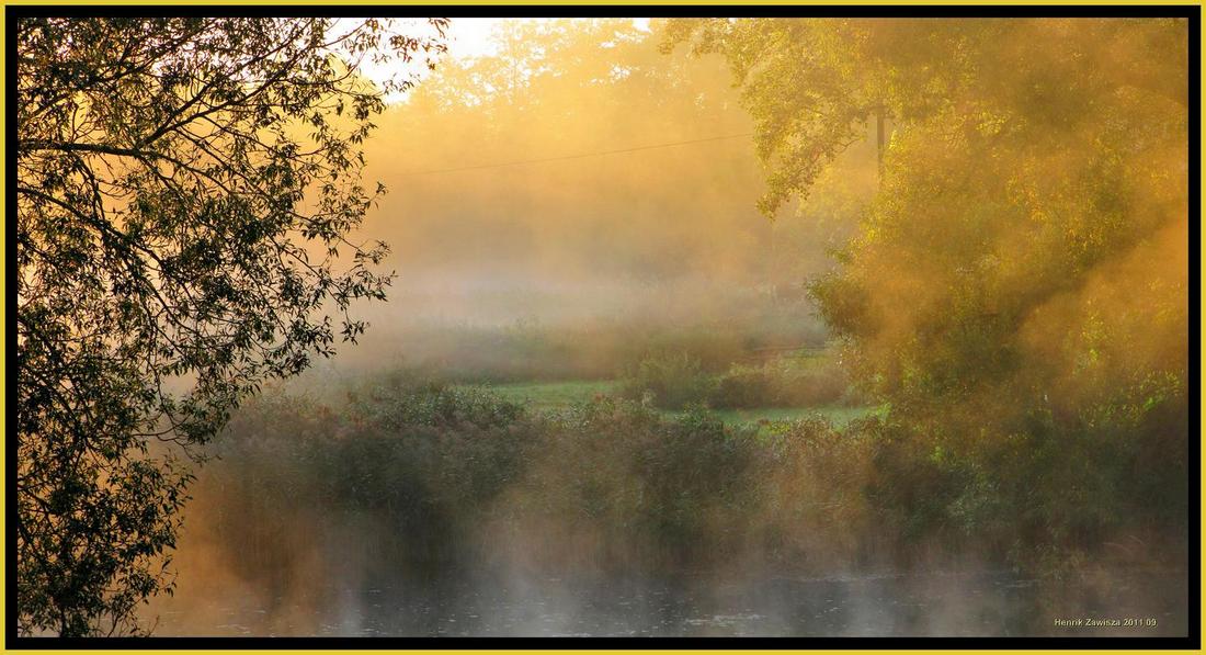 Hail to spring | spring, mist, willow, river