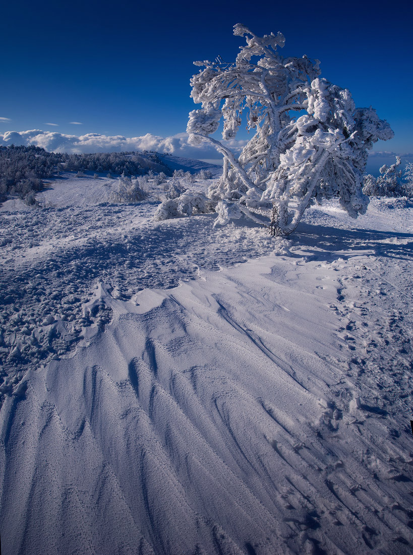 Crimean ice | Crimea, ice, snow, winter