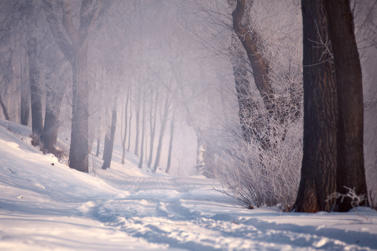  winter road | road