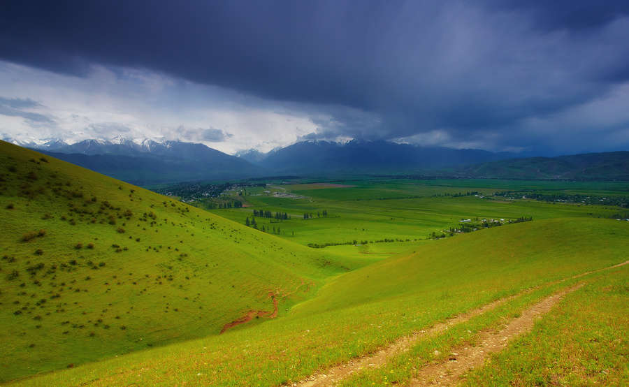 Alpine spring | Alps, meadow, grass, sky