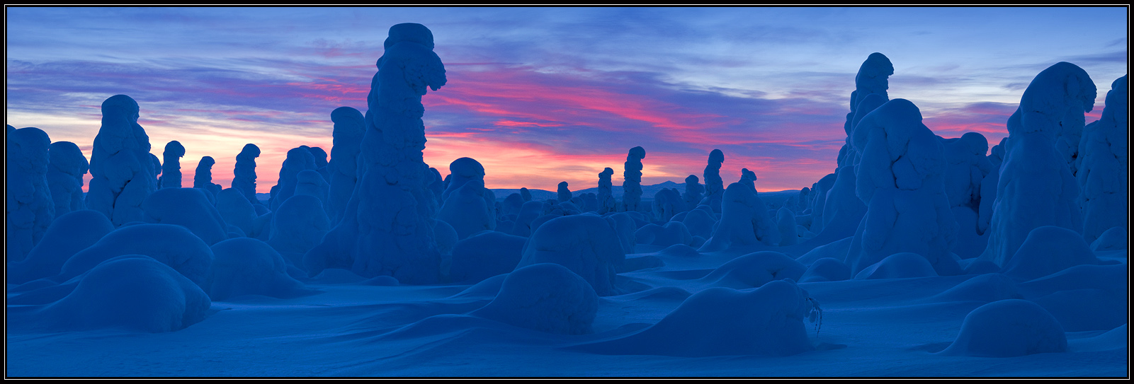 Warrior of the hard frost | landscape, nature, winter, snow, frost, sky, scarlet, trees, clouds, sunset