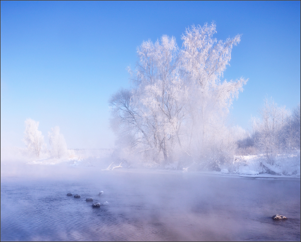 Frosty morning | frost, morning, ice, winter