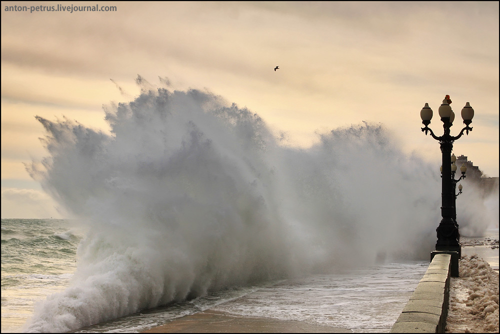 Beginning of the storm, Yalta | Yalta, Crimea, winter, landscape, storm, wave, sea, lanterns, bird, sea-front