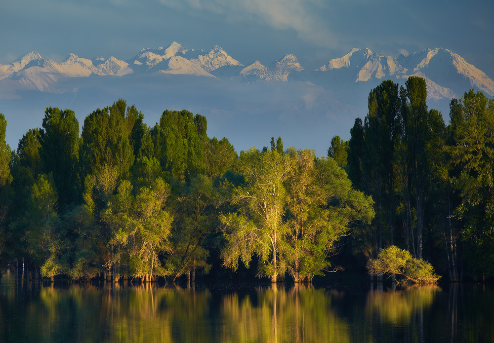 Wood reflected in the lake | peak, reflection, wood, lake