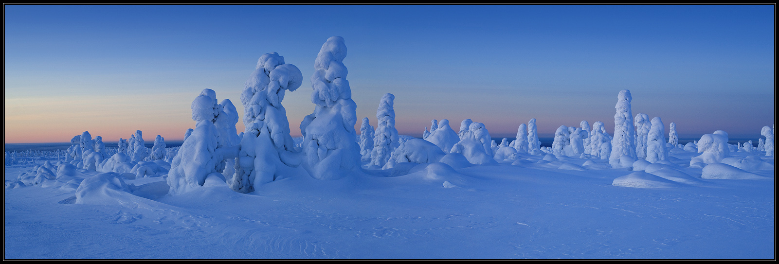 After the storm | storm, frosen tree, ice, snow