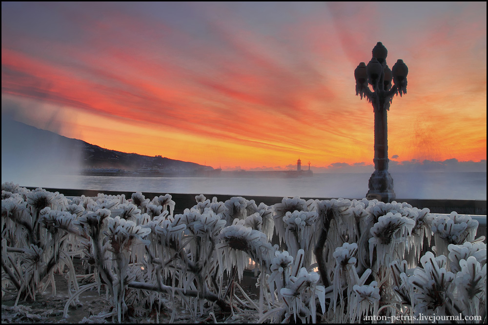 Icy street-lamp  | ice, street-lamp, after the storm, dusk