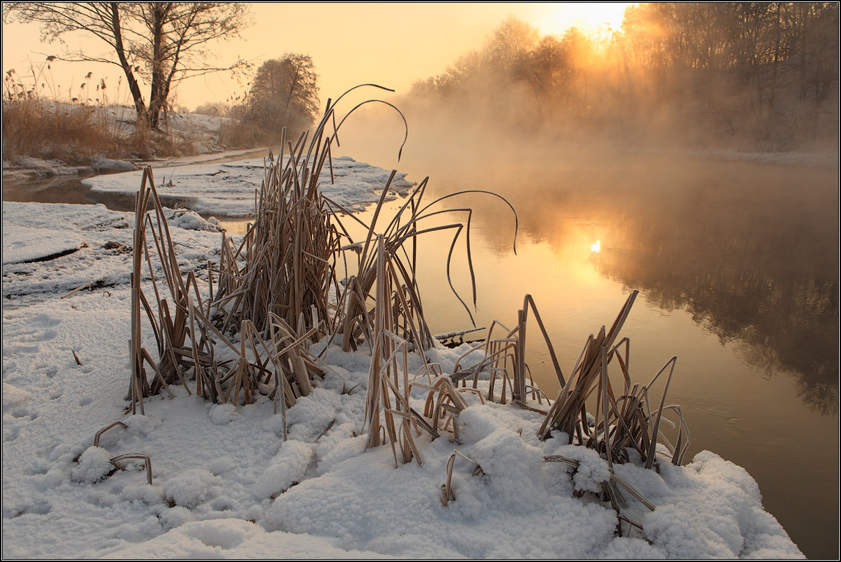 Winter river | landscape, nature, river, winter, frost, water, sun, trees, snow, canes