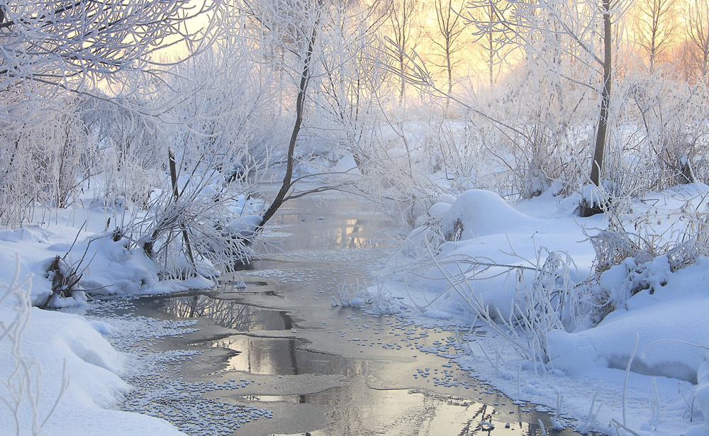 Winter daybreak | winter, daybreak, landscape, morning, water, ice, light, trees, snow, cold