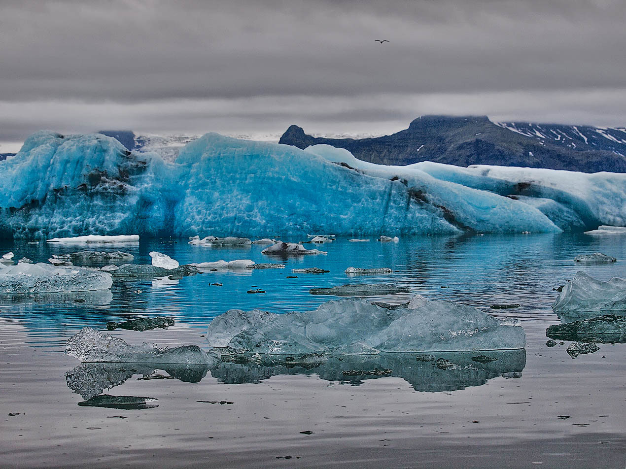 In the kingdom of ice | kingdom, ice, water, frost