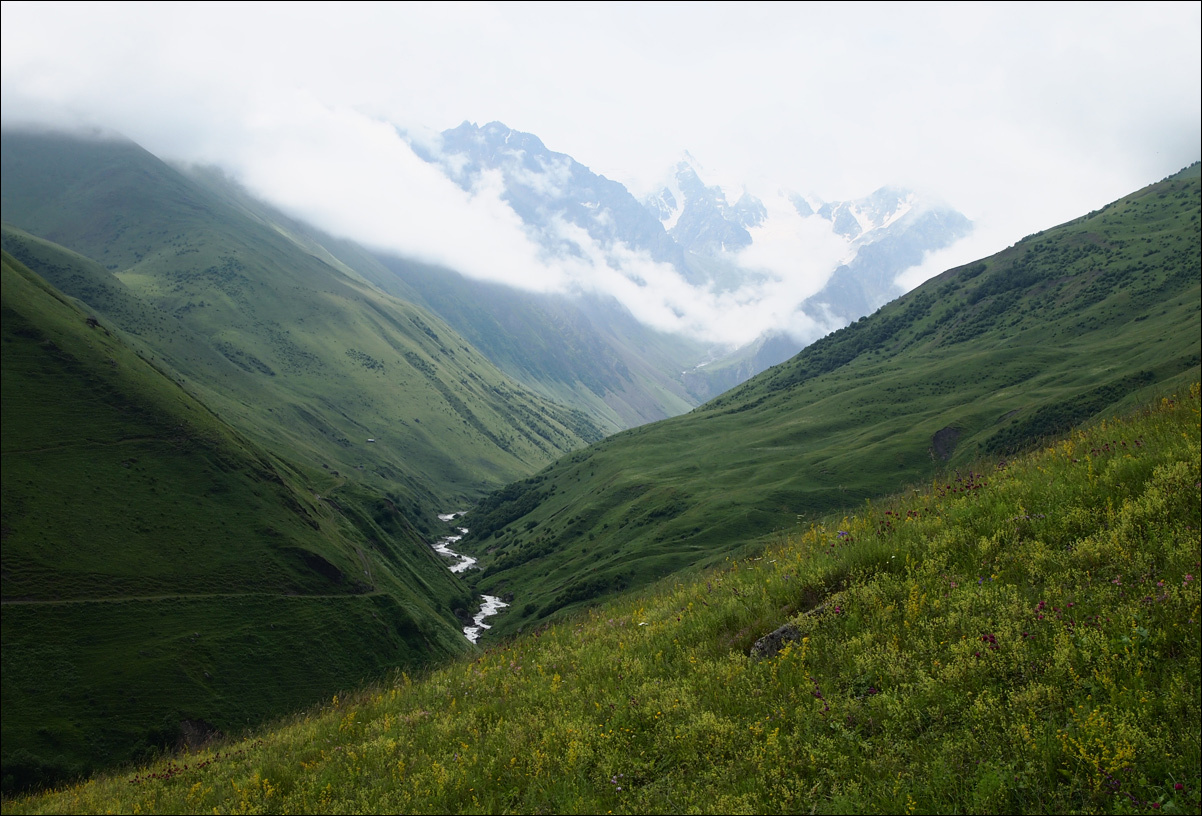 River below | river, hillside, clouds, green