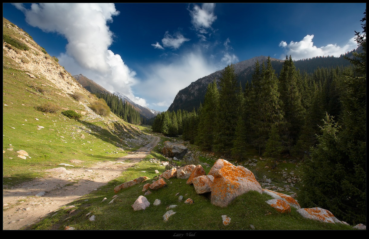 Mountain road | road, mountains, clouds, forest