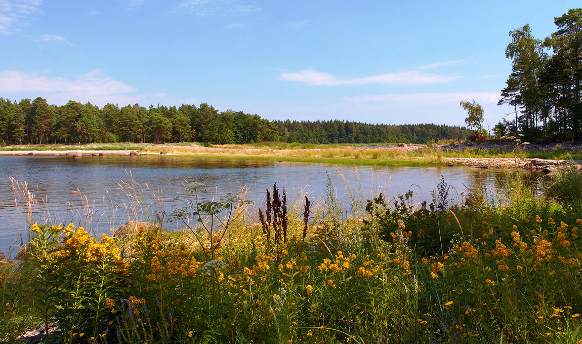 Summertime in the countryside | countryside, summertime, lake, high grass